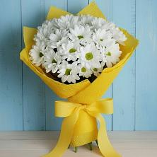 Букет цветов из:  Хризантемы в Первомайском Оренбургская область