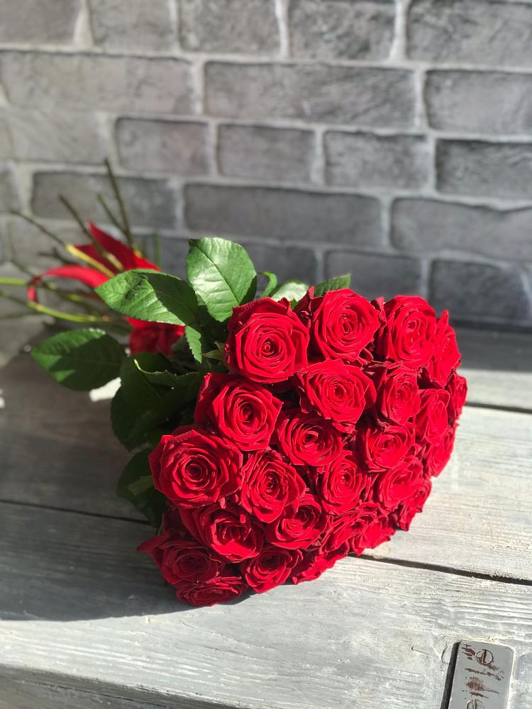 Букет Красные розы Фридом в Первомайском Оренбургская область