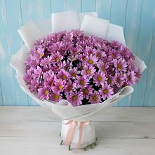 Букет цветов из:  Хризантемы в Первомайском Оренбургская область