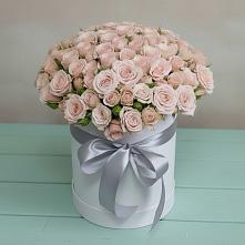 Цветочная композиция из Розы в шляпной коробке в Первомайском Оренбургская область