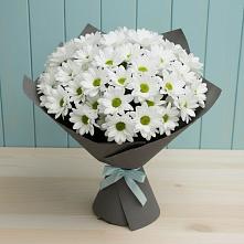 Букет цветов из:  Хризантемы в Первомайском Оренбургская область