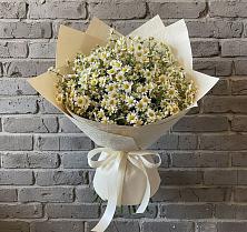 Букет цветов из:  Ромашки #REPLACE_PRED# Первомайском Оренбургская область