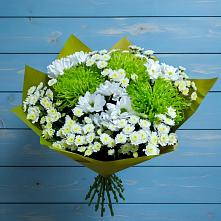 Букет цветов из:  Хризантемы #REPLACE_PRED# Первомайском Оренбургская область