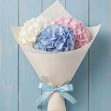 Букет цветов из:  Гортензия в Первомайском Оренбургская область