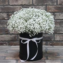Цветочная композиция из Гипсофила в шляпной коробке в Первомайском Оренбургская область