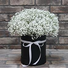 Цветочная композиция из Гипсофила в шляпной коробке в Первомайском Оренбургская область