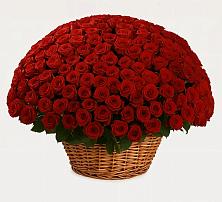 Премиум букет из: Розы в Первомайском Оренбургская область