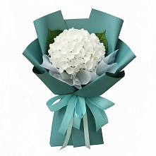 Букет цветов из:  Гортензия в Первомайском Оренбургская область